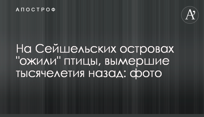 На Сейшельских островах 