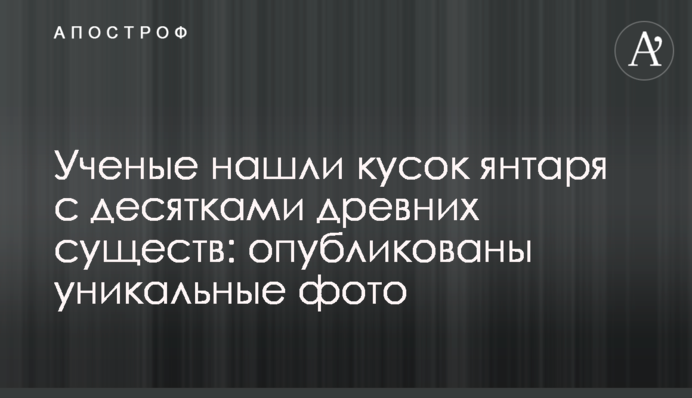 Вчені знайшли шматок бурштину з десятками стародавніх істот: опубліковані унікальні фото