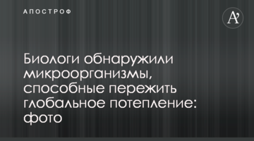 Біологи виявили мікроорганізми, здатні пережити глобальне потепління: фото