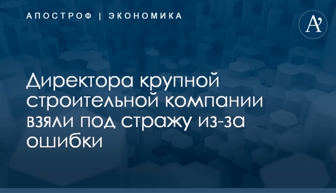 Директора крупной строительной компании взяли под стражу из-за ошибки
