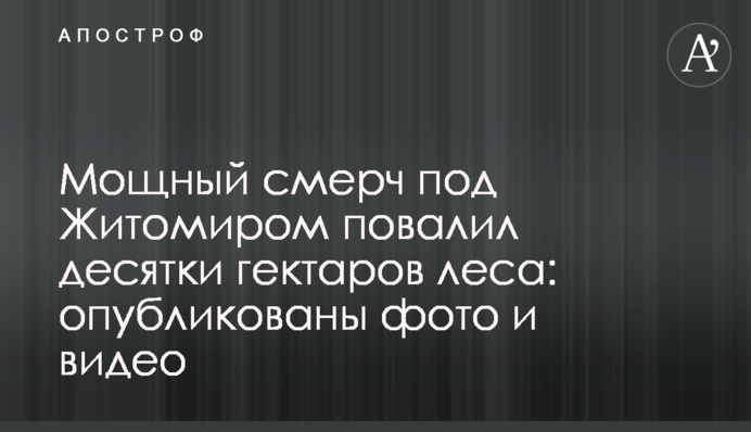 Потужний смерч під Житомиром повалив десятки гектарів лісу: опубліковані фото і відео