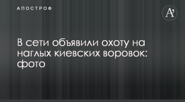 У мережі оголосили полювання на нахабних київських злодійок: фото