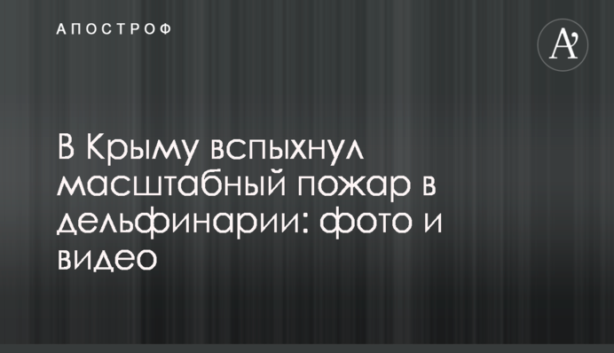 Охрана Kadorr Group объявила охоту на скандального активиста из Одессы - СМИ