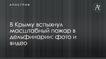 Охрана Kadorr Group объявила охоту на скандального активиста из Одессы - СМИ
