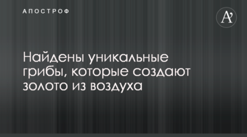 Знайдено унікальні гриби, які створюють золото з повітря