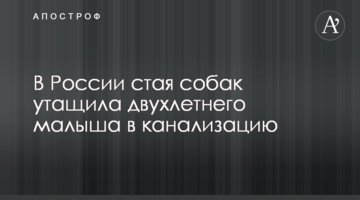 У Росії зграя собак затягла дворічного малюка в каналізацію