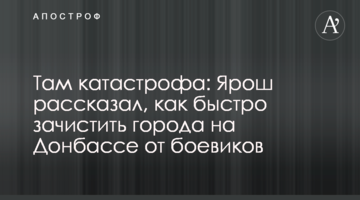 ​Там катастрофа: Ярош розповів, як швидко зачистити міста на Донбасі від бойовиків