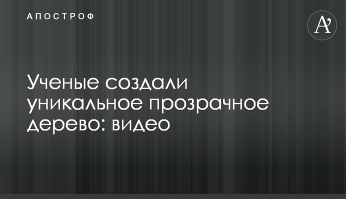 Учені створили унікальне прозоре дерево: відео
