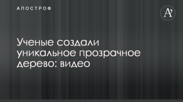 Учені створили унікальне прозоре дерево: відео