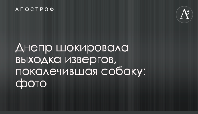 Дніпро шокувала витівка нелюдів, що покалічила собаку: фото