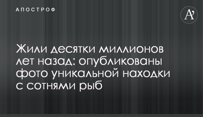 Жили десятки миллионов лет назад: опубликованы фото уникальной находки с сотнями рыб