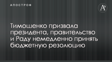 Тимошенко закликала президента, уряд і Раду негайно ухвалити бюджетну резолюцію