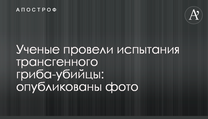 Ученые провели испытания трансгенного гриба-убийцы: опубликованы фото