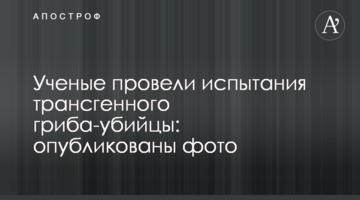 ​Вчені провели випробування трансгенної гриба-вбивці: опубліковано фото