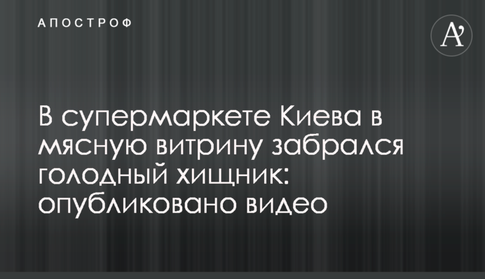 ​В супермаркете Киева в мясную витрину забрался голодный хищник: опубликовано видео