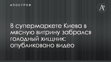 У супермаркеті Києва в м'ясну вітрину забрався голодний хижак: опубліковано відео