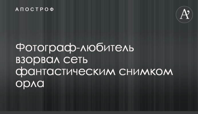 ​Фотограф-любитель взорвал сеть фантастическим снимком орла
