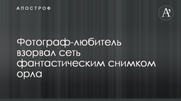 ​Фотограф-аматор підірвав мережу фантастичним знімком орла