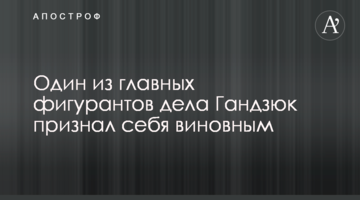 One of the main defendants in the Handziuk case pleaded guilty