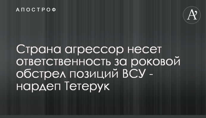 Страна агрессор несет ответственность за роковой обстрел позиций ВСУ - нардеп Тетерук