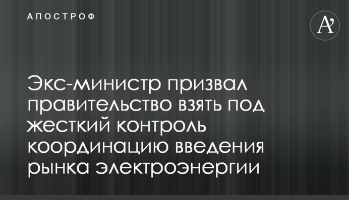 Екс-міністр закликав уряд взяти під жорсткий контроль координацію введення ринку електроенергії