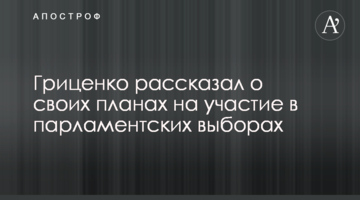 Гриценко розповів про свої плани на участь в парламентських виборах