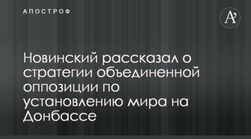 Новинский рассказал о стратегии объединенной оппозиции по установлению мира на Донбассе