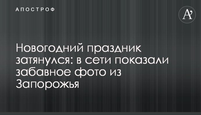Новорічне свято затягнулося: в мережі показали веселе фото із Запоріжжя