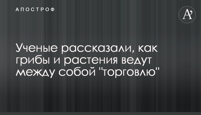 Вчені розповіли, як гриби і рослини ведуть між собою 