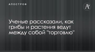 Вчені розповіли, як гриби і рослини ведуть між собою "торгівлю"