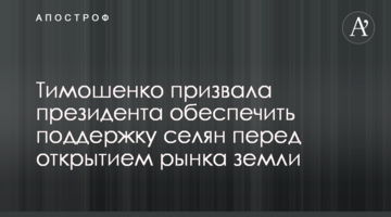 Тимошенко закликала президента забезпечити підтримку селян перед відкриттям ринку землі