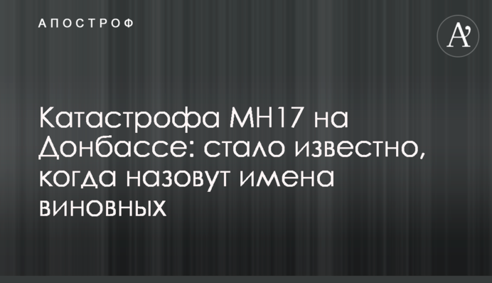 Катастрофа MH17 на Донбассе: стало известно, когда назовут имена виновных