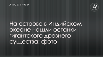 ​На острові в Індійському океані знайшли останки гігантської стародавньої істоти: фото