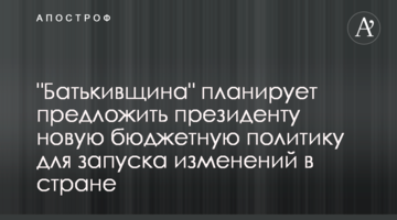 "Батьківщина" планує запропонувати президенту нову бюджетну політику для втілення змін у країні