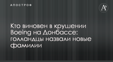 Хто винен в аварії Boeing на Донбасі: голландці назвали нові прізвища