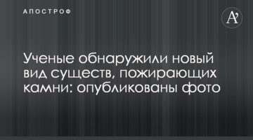 Вчені виявили новий вид істот, що пожирають камені: опубліковані фото