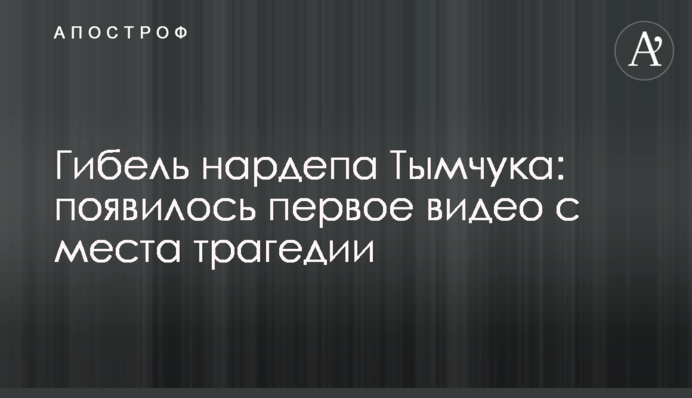 Загибель нардепа Тимчука: з'явилося перше відео з місця трагедії