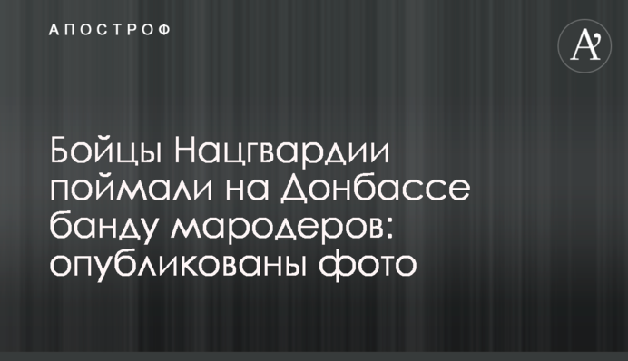 Бійці Нацгвардії зловили на Донбасі банду мародерів: опубліковані фото