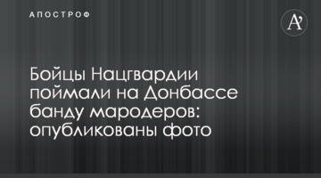 Бійці Нацгвардії зловили на Донбасі банду мародерів: опубліковані фото