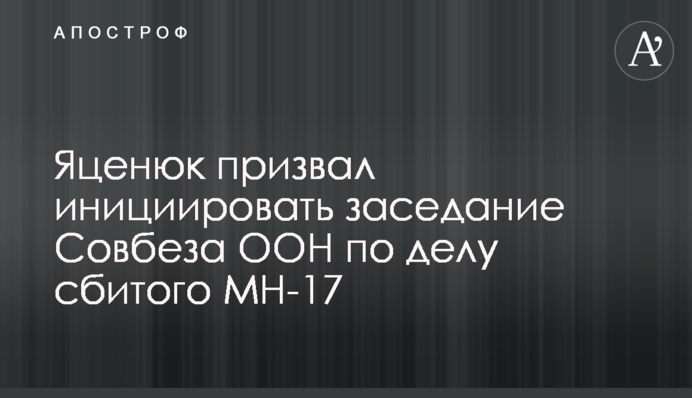 Яценюк призвал инициировать заседание Совбеза ООН по делу сбитого МН-17
