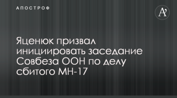 Яценюк призвал инициировать заседание Совбеза ООН по делу сбитого МН-17