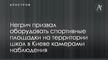 Негрич закликав обладнати спортивні майданчики на території шкіл у Києві камерами спостереження
