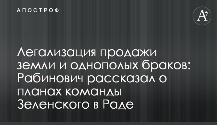 Легализация продажи земли и однополых браков: Рабинович рассказал о планах команды Зеленского в Раде