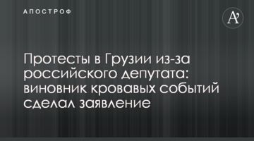 Protests in Georgia caused by a Russian MP: the culprit of bloody events made a statement