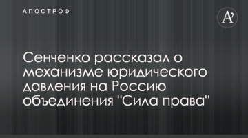 Сенченко розповів про механізм юридичного тиску на Росію об'єднання "Сила права"