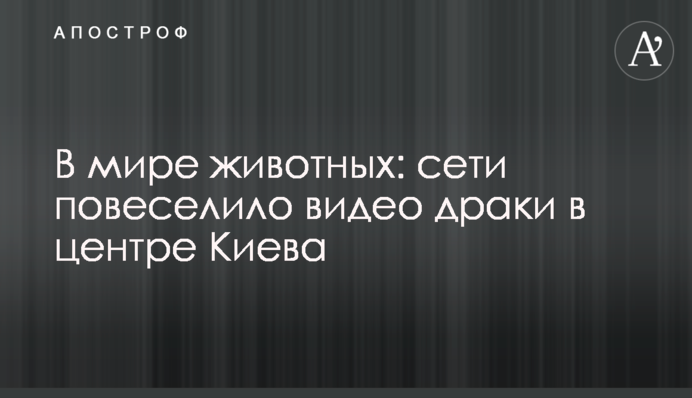 В мире животных: сети повеселило видео драки в центре Киева