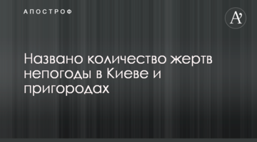 Названо кількість жертв негоди в Києві і передмістях