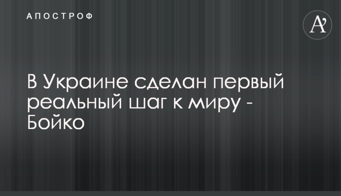 В Украине сделан первый реальный шаг к миру - Бойко