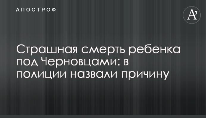 Страшна смерть дитини під Чернівцями: в поліції назвали причину