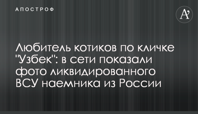 Любитель котиков по кличке 